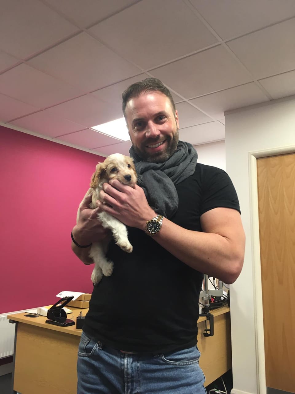 Ziggy's first day in the office